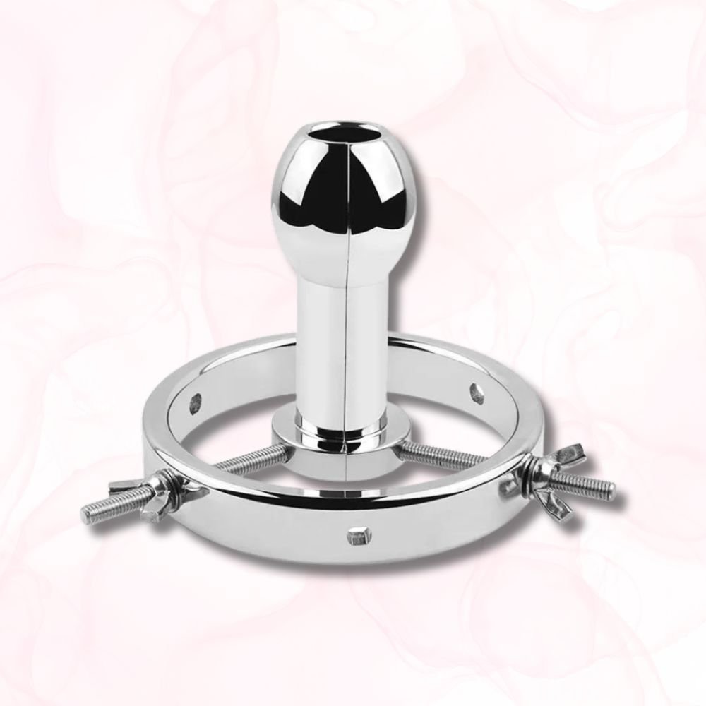 Dilatateur Anal <br> La Maîtrise du Métal - Mon Plug Anal